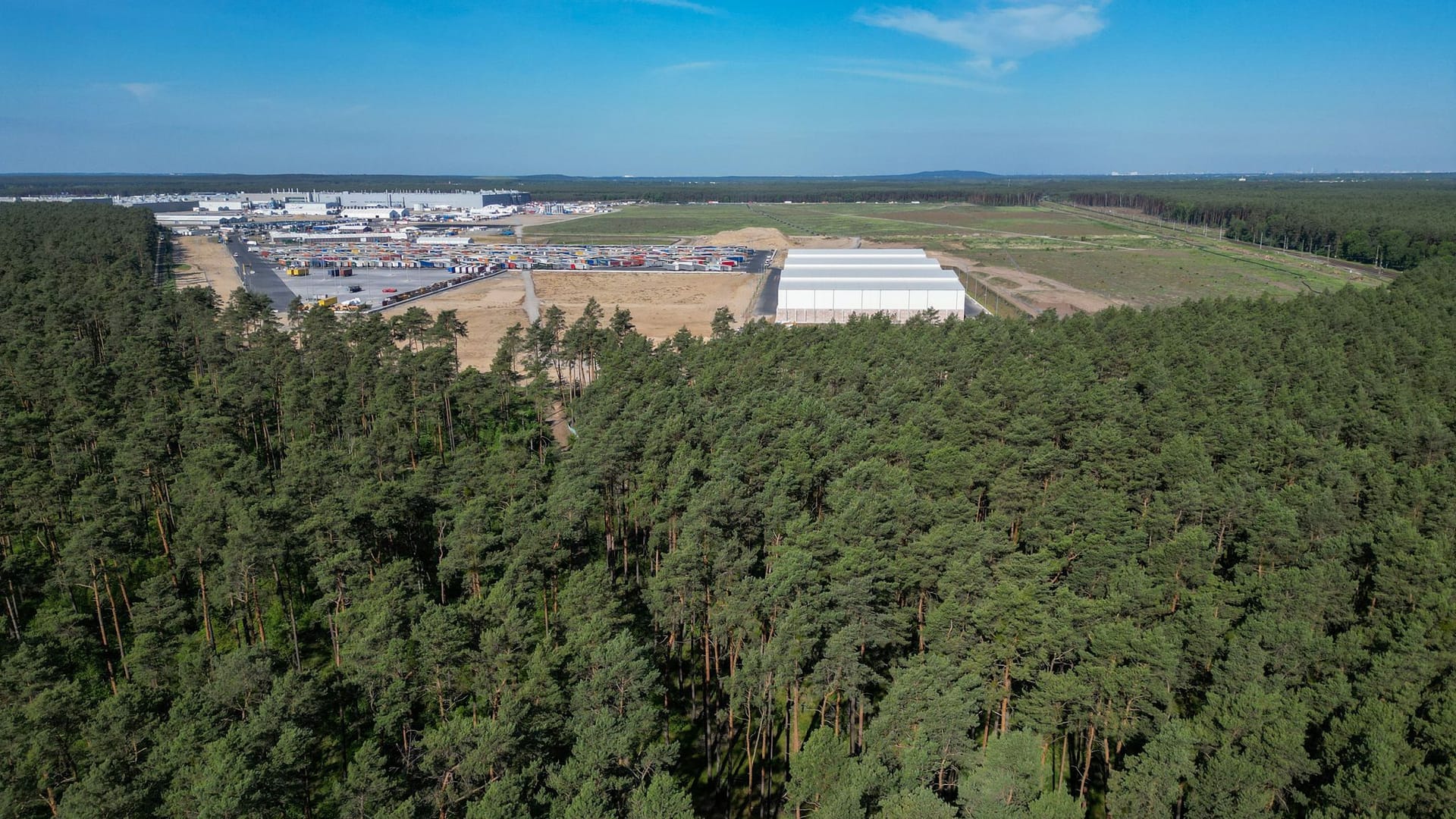 Grünheide: In dem Waldgelände wurde eine Bombe entdeckt.