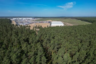 Grünheide: In dem Waldgelände wurde eine Bombe entdeckt.