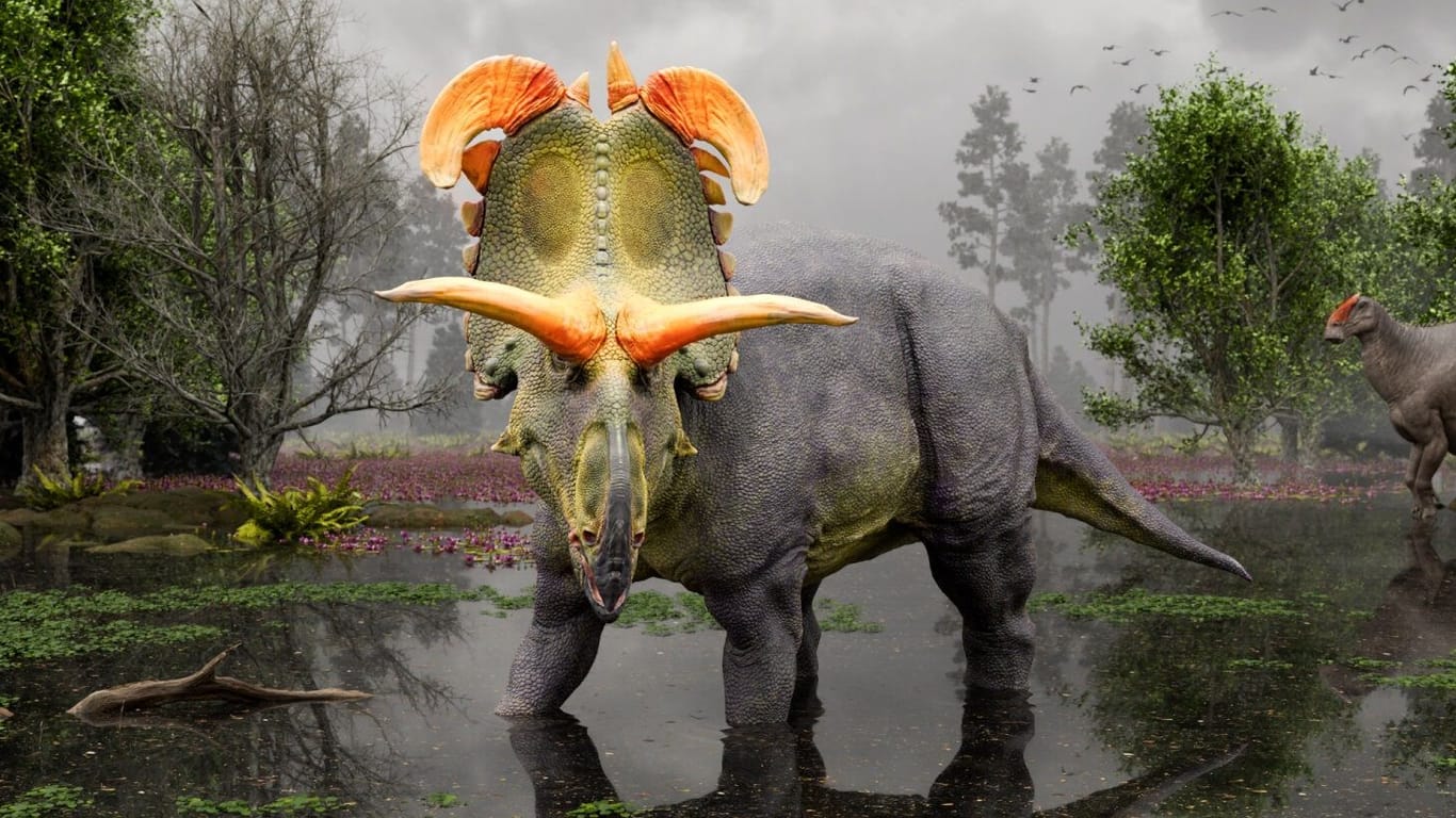 So stellt sich der Künstler Lokiceratops rangiformis vor: Mit gigantischen Hörnern, die wie gebogene Klingen aussehen und auf der Rückseite seiner Halskrause sitzen.