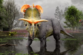 So stellt sich der Künstler Lokiceratops rangiformis vor: Mit gigantischen Hörnern, die wie gebogene Klingen aussehen und auf der Rückseite seiner Halskrause sitzen.