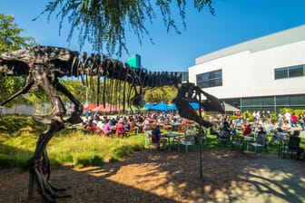Employees working outdoors at Googleplex headquarters main office