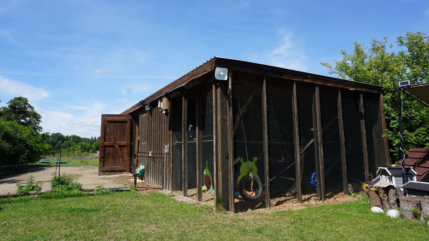 Eine Auffangstation auf dem Gnadenhof: Hier sind ein Dachs und zwei Waschbären untergekommen.