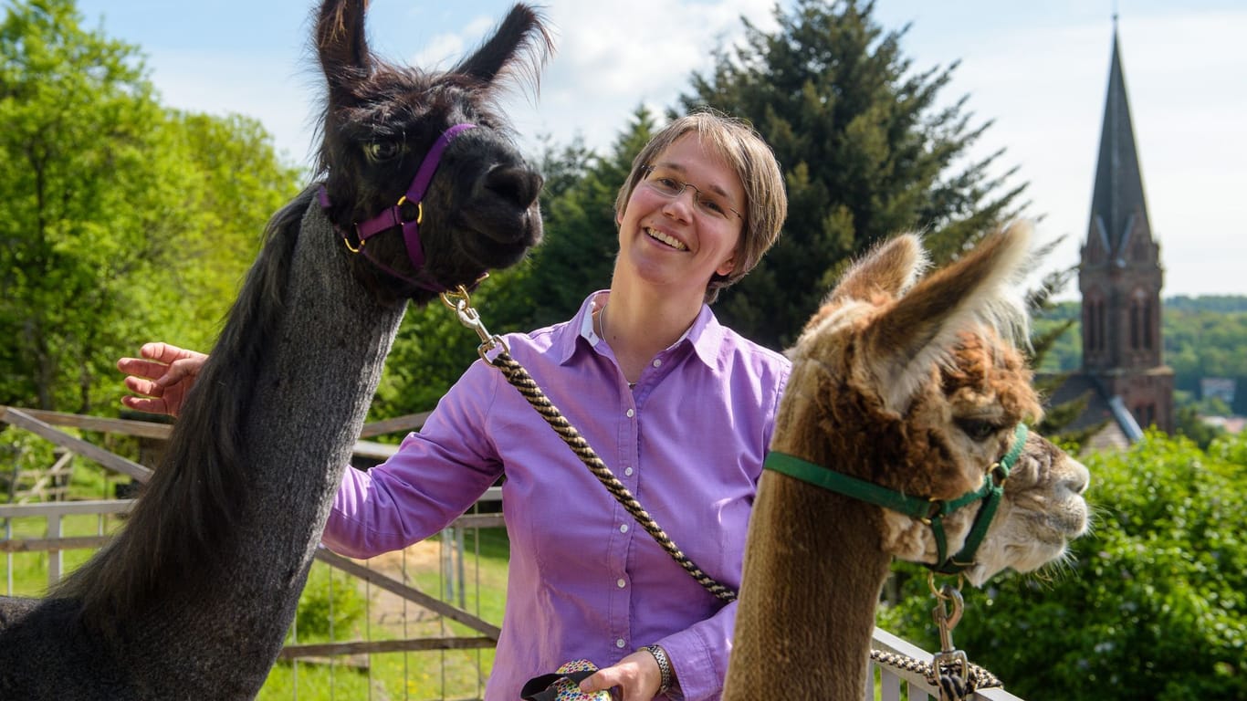 Pfarrerin mit Lamas und Alpakas im Auftrag des Herrn unterwegs