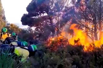 Urlaubsregion bedroht: Waldbrände wüten in Andalusien.