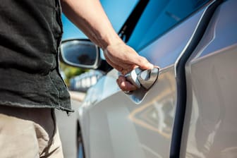 Ab in den Urlaub: Petersilie kann lange Autofahrten viel angenehmer machen.