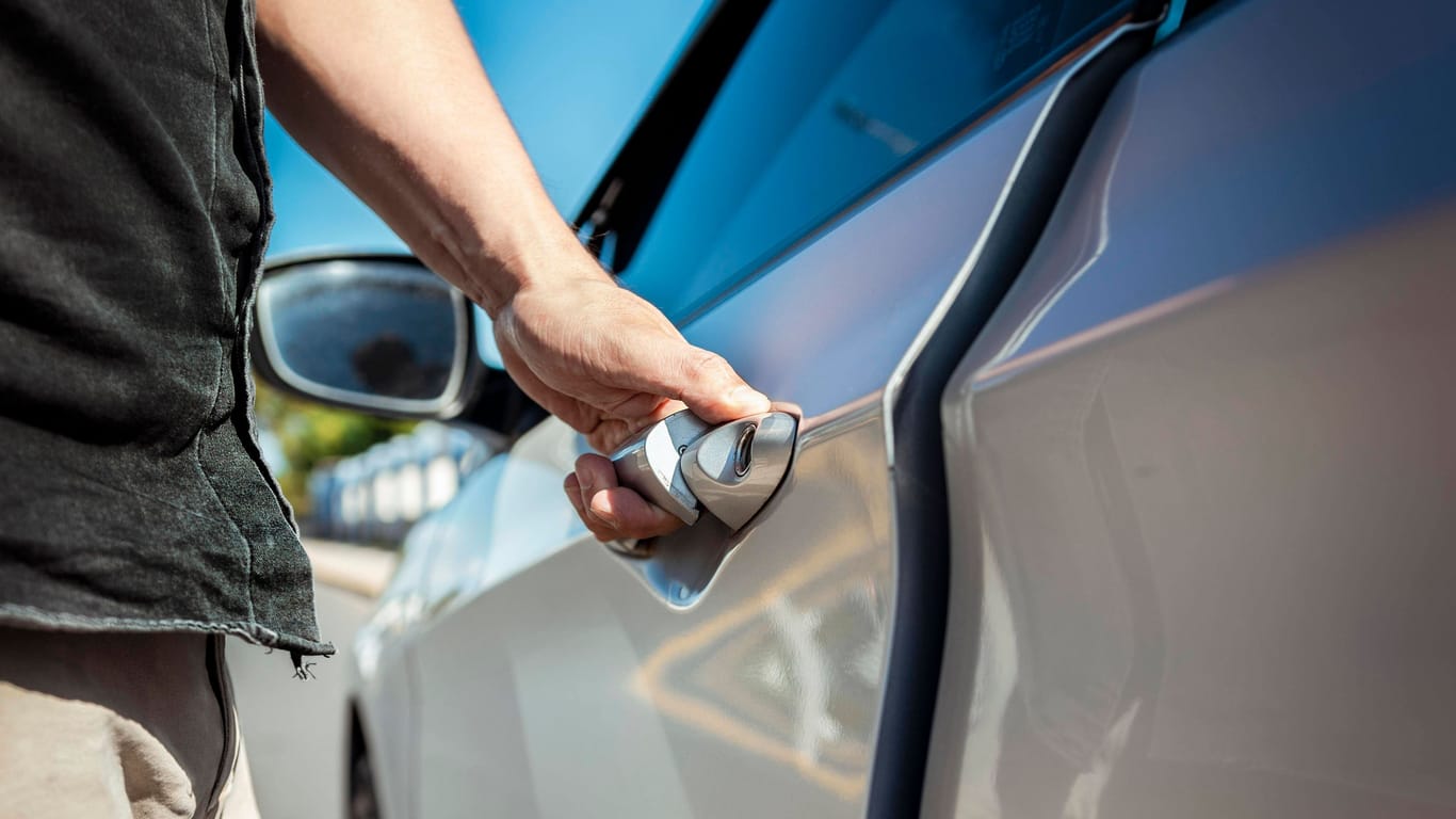 Ab in den Urlaub: Petersilie kann lange Autofahrten viel angenehmer machen.