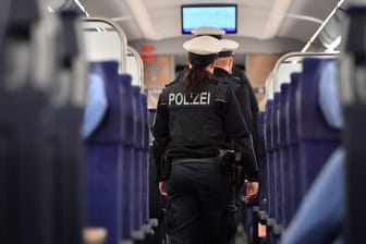 Bundespolizisten in einem Zug (Symbolbild): Die Beamten hatten einiges zu tun.