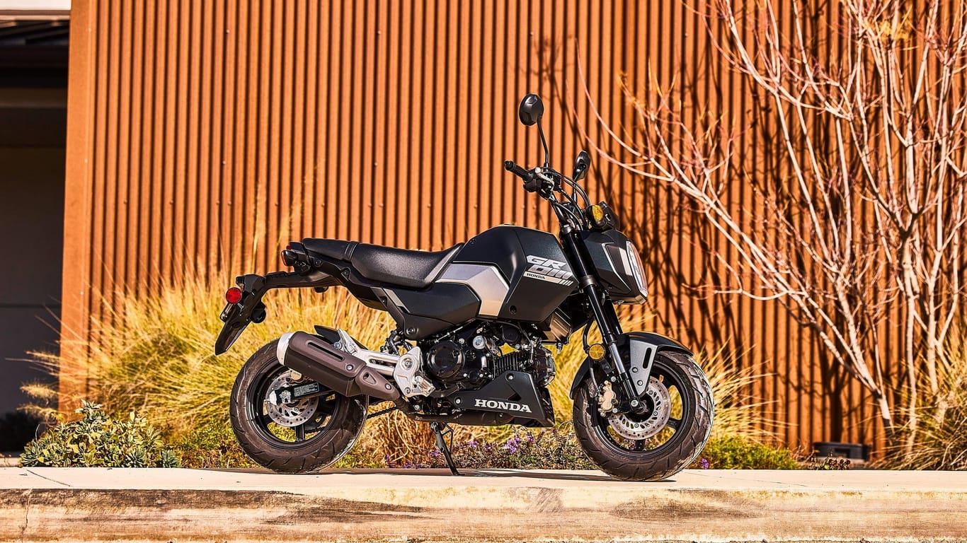 Neu eingekleidet: Hondas Funbike MSX 125 Grom erhält einen neuen Look.