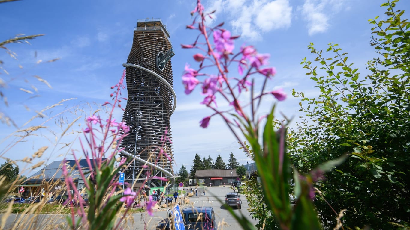 Blick auf den Harzturm: Der Aussichtsturm ist rund 65 Meter hoch.