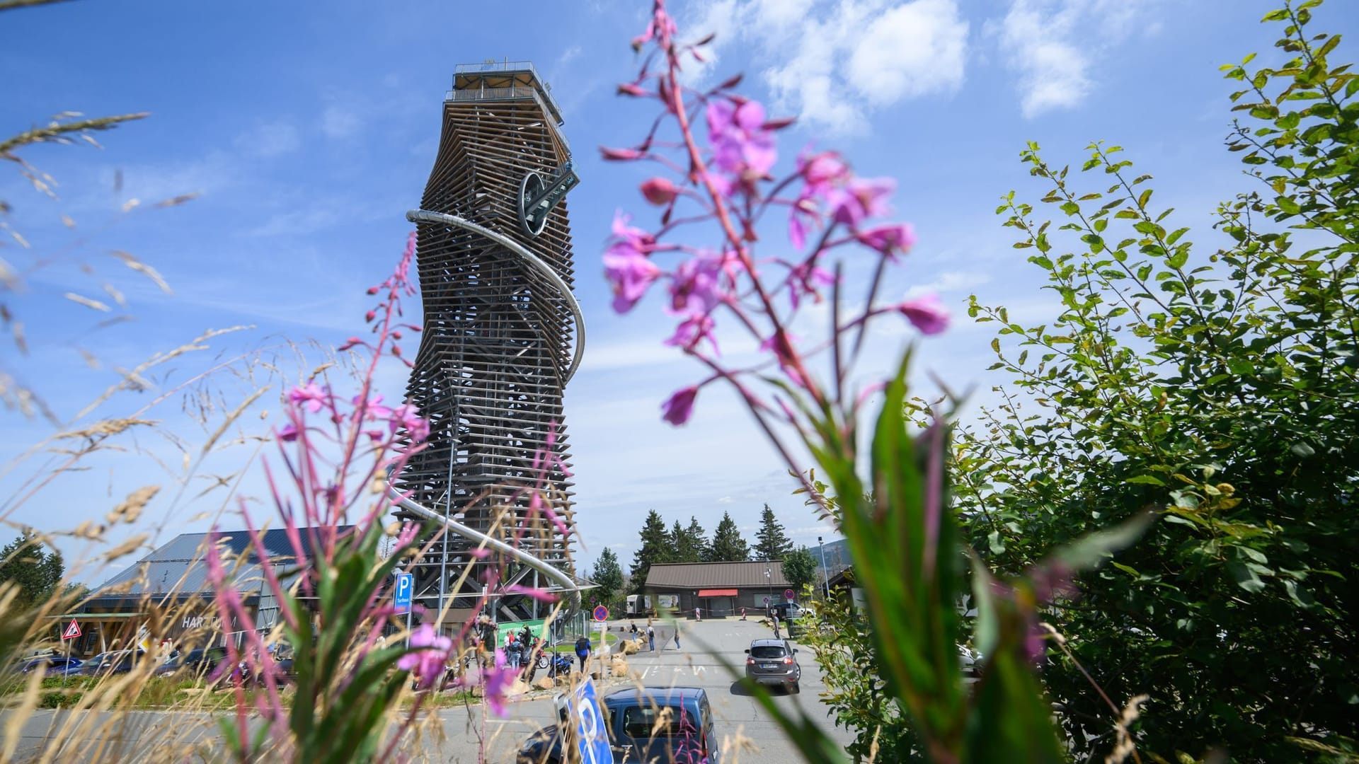 Blick auf den Harzturm: Der Aussichtsturm ist rund 65 Meter hoch.