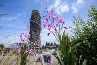 Blick auf den Harzturm: Der Aussichtsturm ist rund 65 Meter hoch.