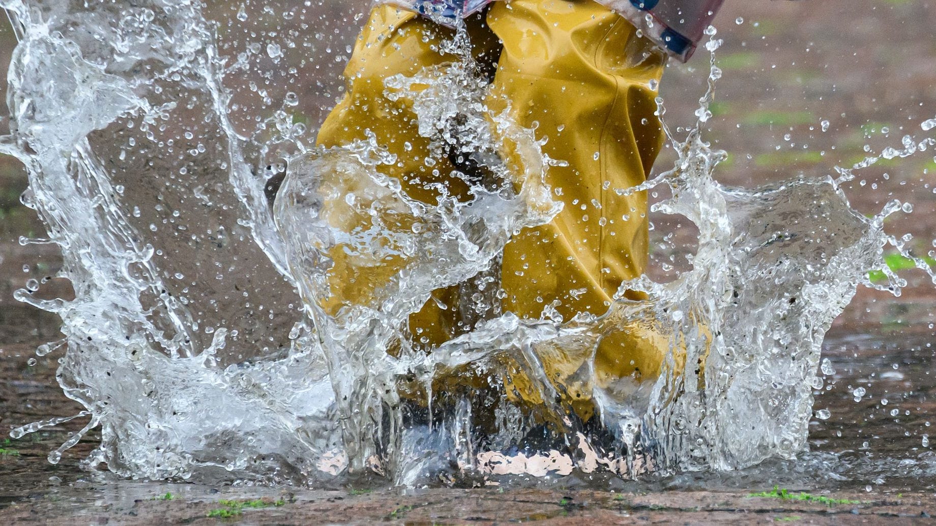 Regen und Sturm erwarten Sachsen, Sachsen-Anhalt und Thüringen.