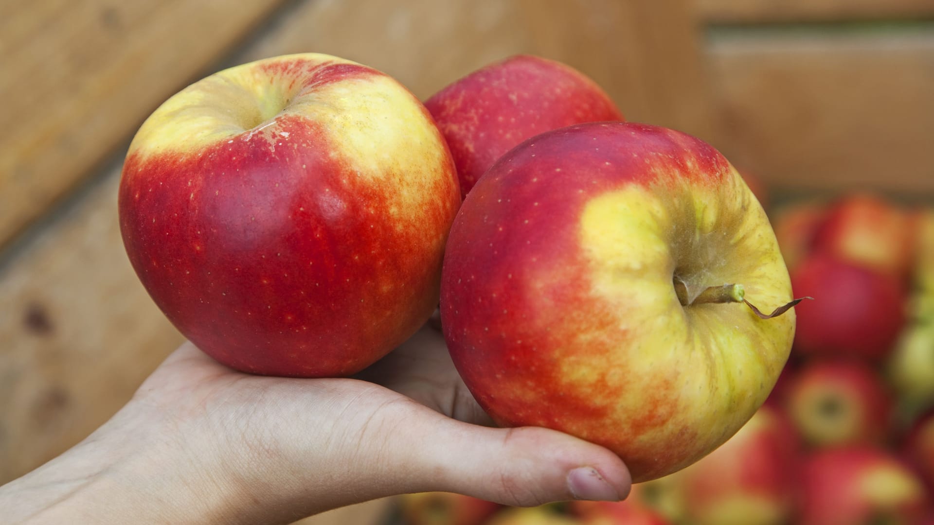 Äpfel: Sie gehören zum beliebtesten Obst in Deutschland.