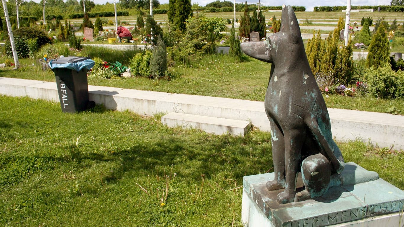 Der Tierfriedhof am Tierheim Berlin: Hier liegt auch Fico begraben.