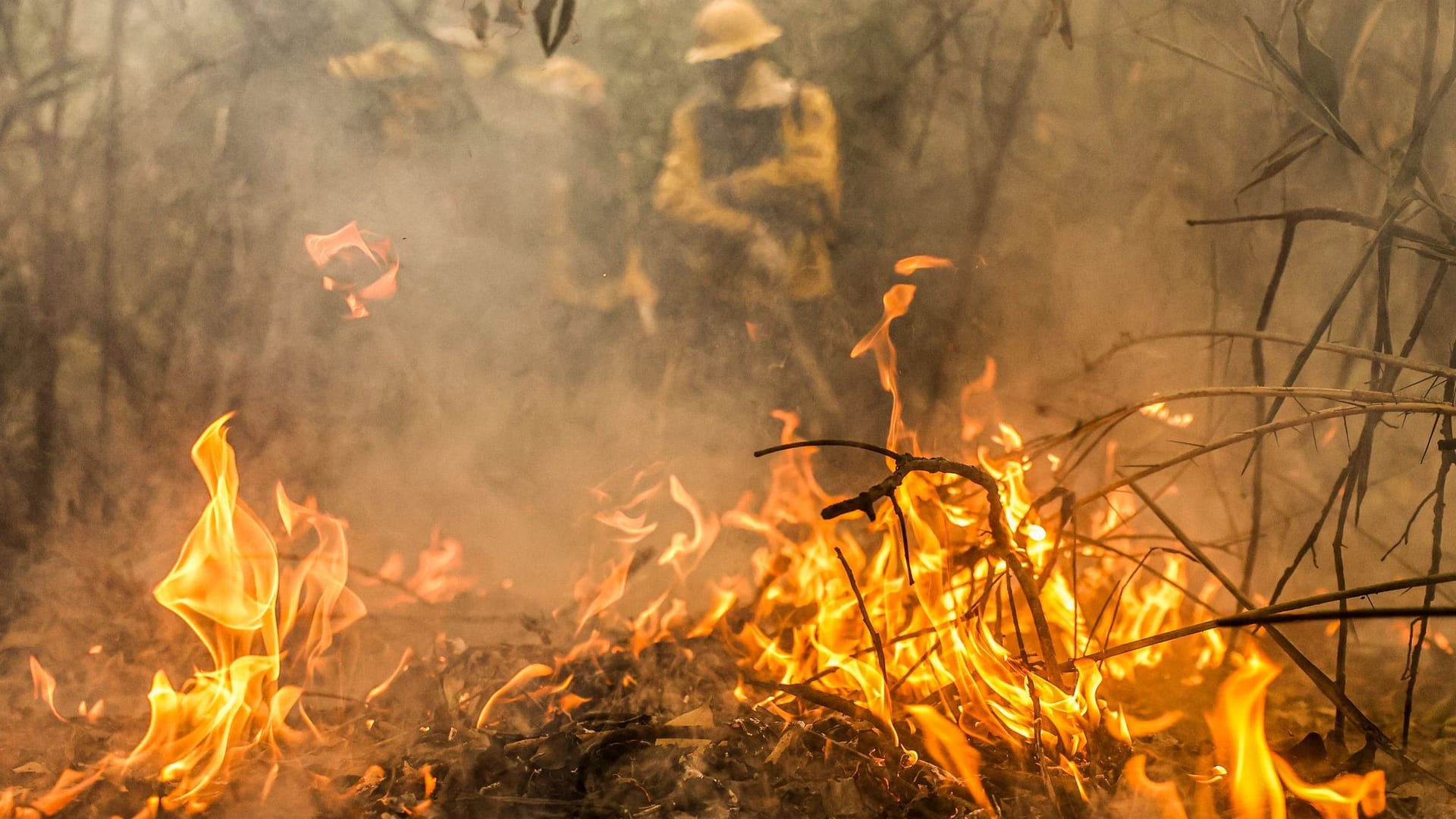 Rekordwaldbrände in Brasiliens Feuchtgebiet Pantanal