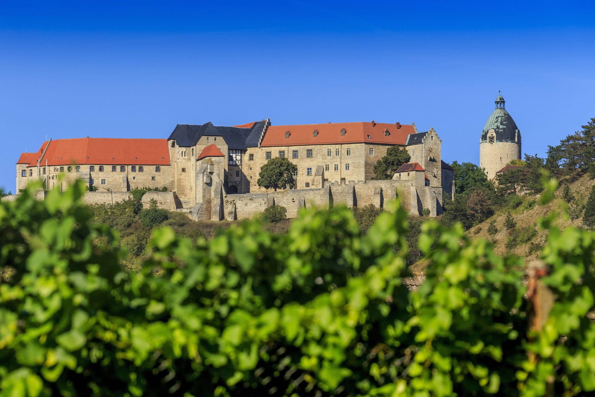 Die herzoglichen Weinberge mit Blick auf Schloss Neuenburg.