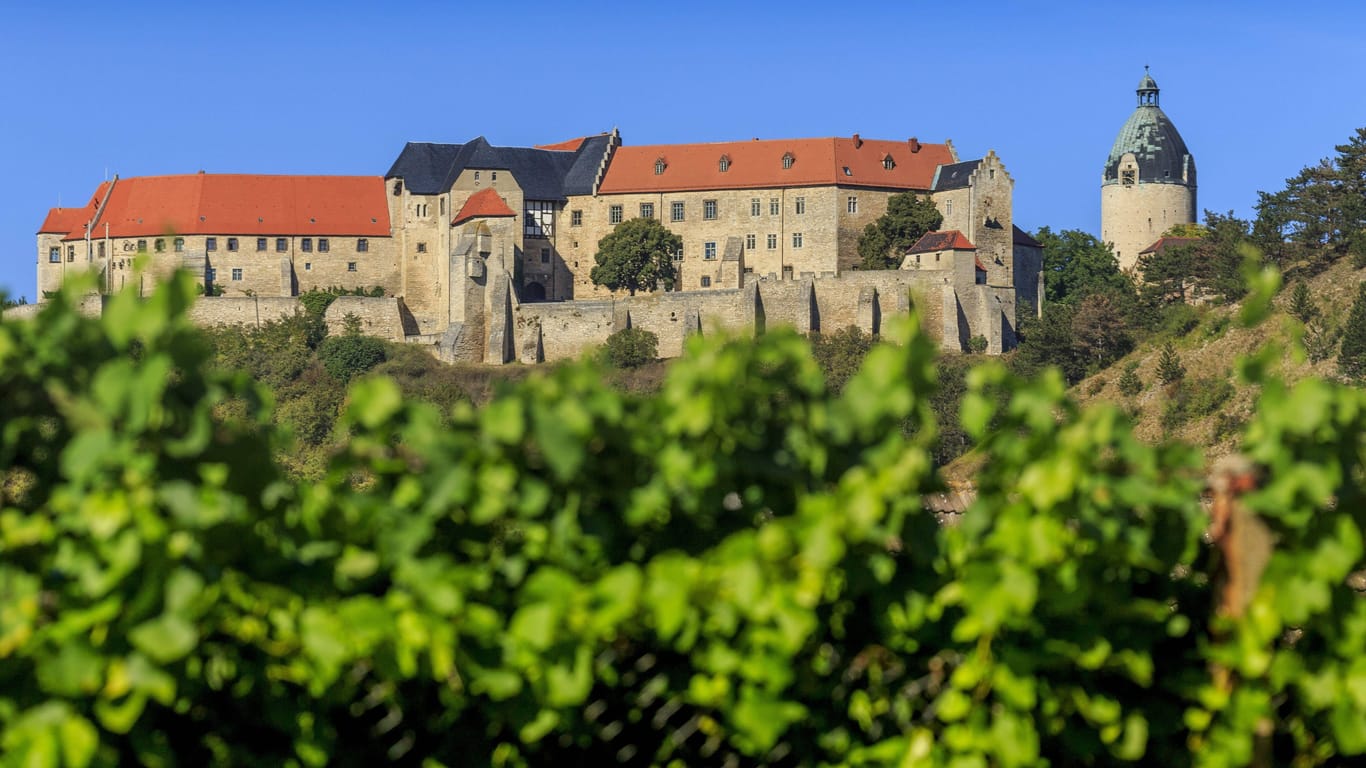 Die herzoglichen Weinberge mit Blick auf Schloss Neuenburg.