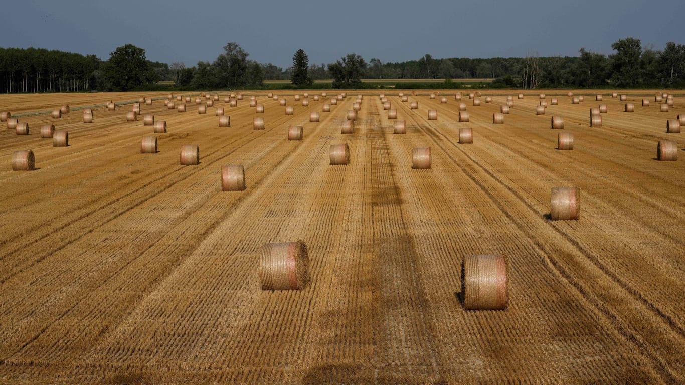 Landwirtschaft in Italien