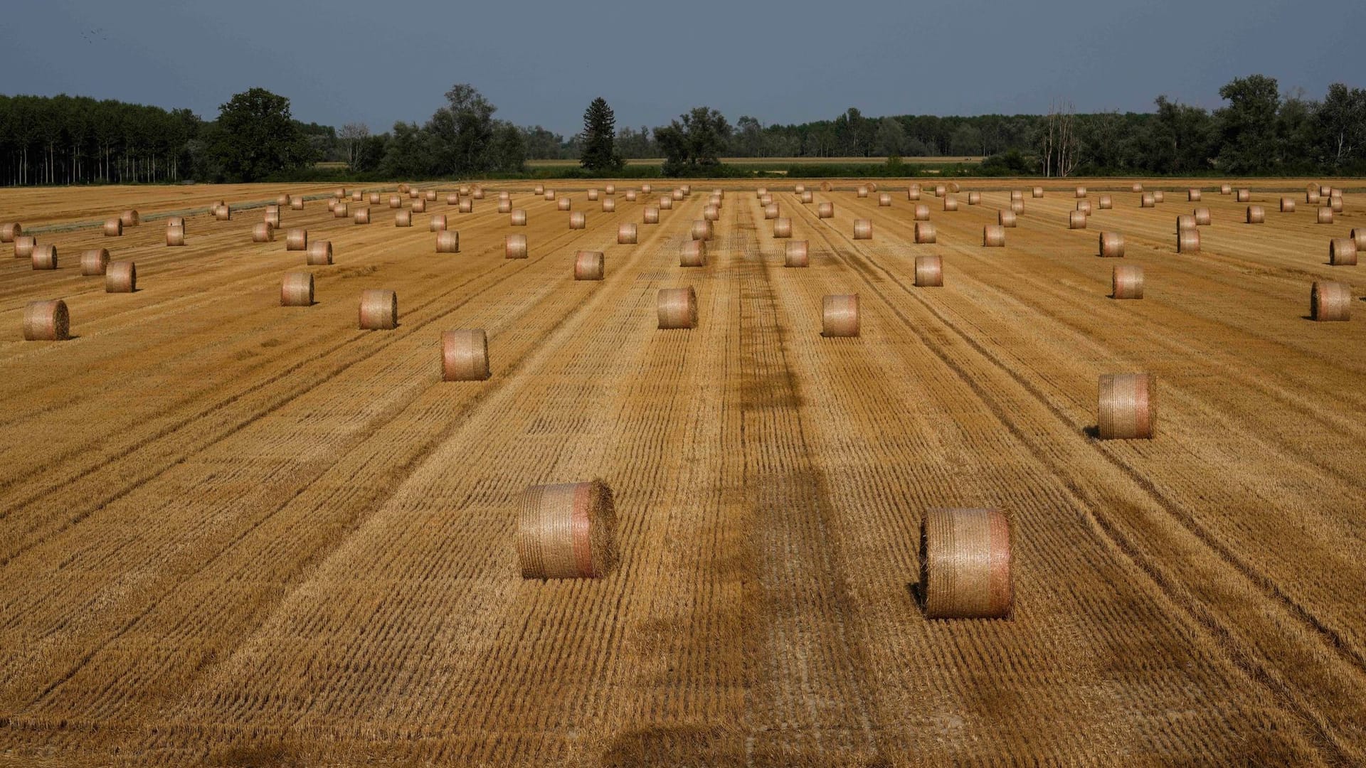 Landwirtschaft in Italien Landwirtschaft in Italien