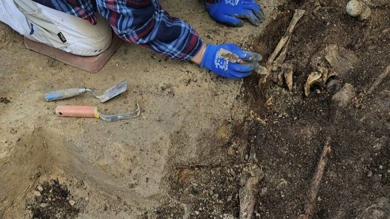 Knochenreste: Bei aktuellen Ausgrabungen am Weberplatz konnten erhaltene Körperbestattungen gefunden werden.