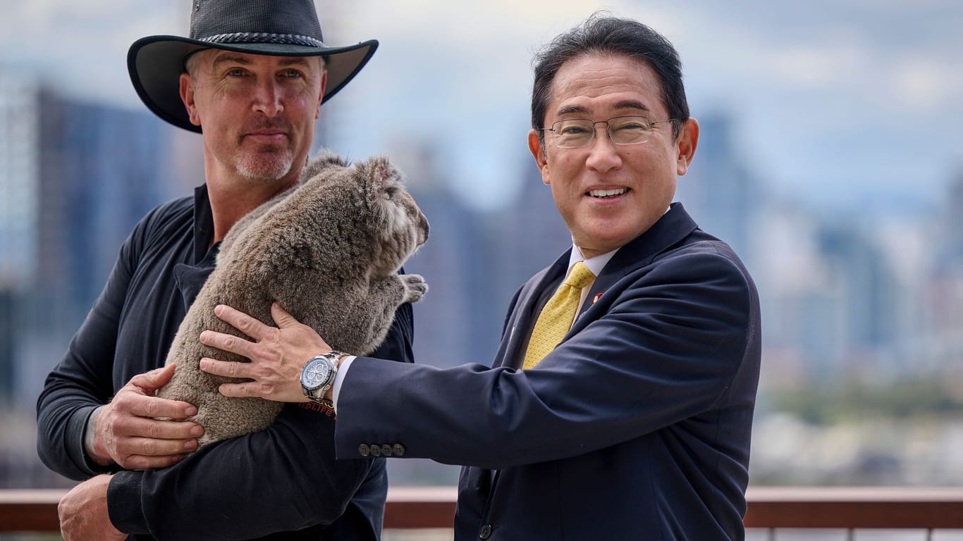 Japans Premierminister Kishida im Koala-Schutzzentrum