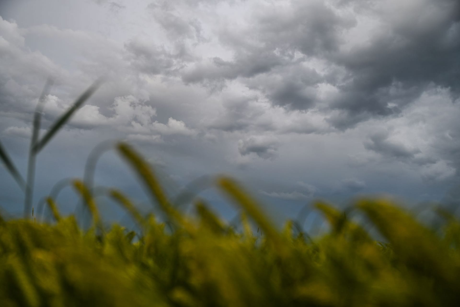 Wolken über Weizenfeld