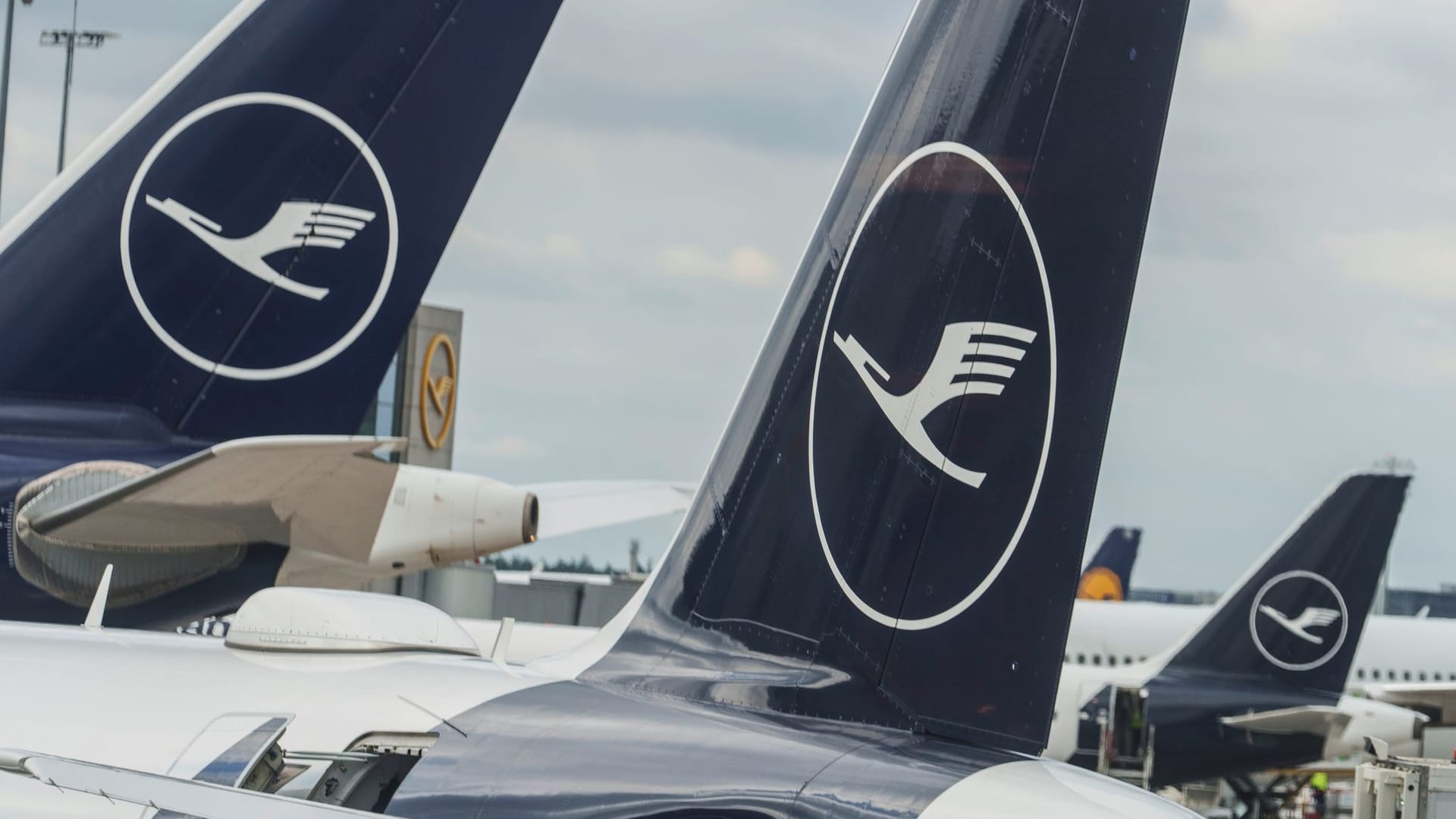 Lufthansa in Frankfurt Lufthansa in Frankfurt
