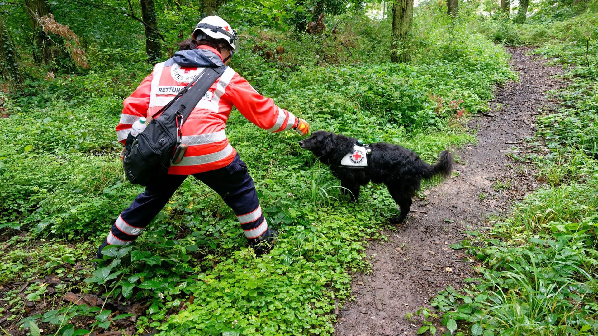 Polizei sucht mit Großaufgebot nach vermisstem Mädchen