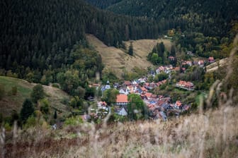 Blick auf Wildemann im Oberharz (Archivbild): Das malerische Tal ist ein echter Geheimtipp.