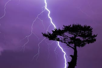 Blitzeinschlag: Nicht selten schlagen Blitze in Bäume ein.
