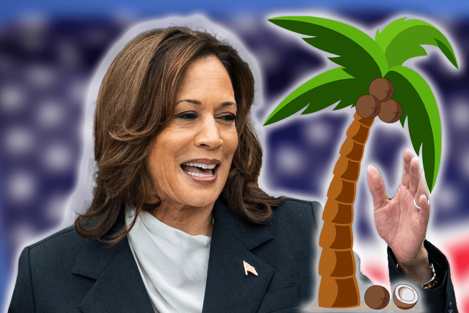 "Glaubt ihr, ihr seid einfach aus einer Kokosnusspalme gefallen?": Kamala Harris' Bemerkung im Mai 2023 wird zum viralen Hit.