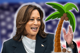 "Glaubt ihr, ihr seid einfach aus einer Kokosnusspalme gefallen?": Kamala Harris' Bemerkung im Mai 2023 wird zum viralen Hit.