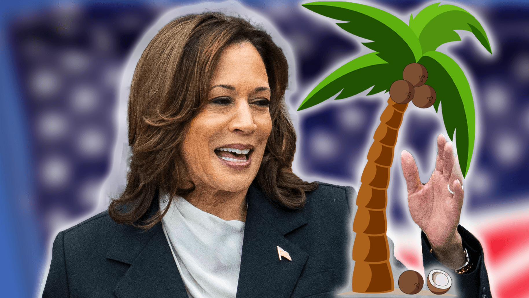 "Glaubt ihr, ihr seid einfach aus einer Kokosnusspalme gefallen?": Kamala Harris' Bemerkung im Mai 2023 wird zum viralen Hit.