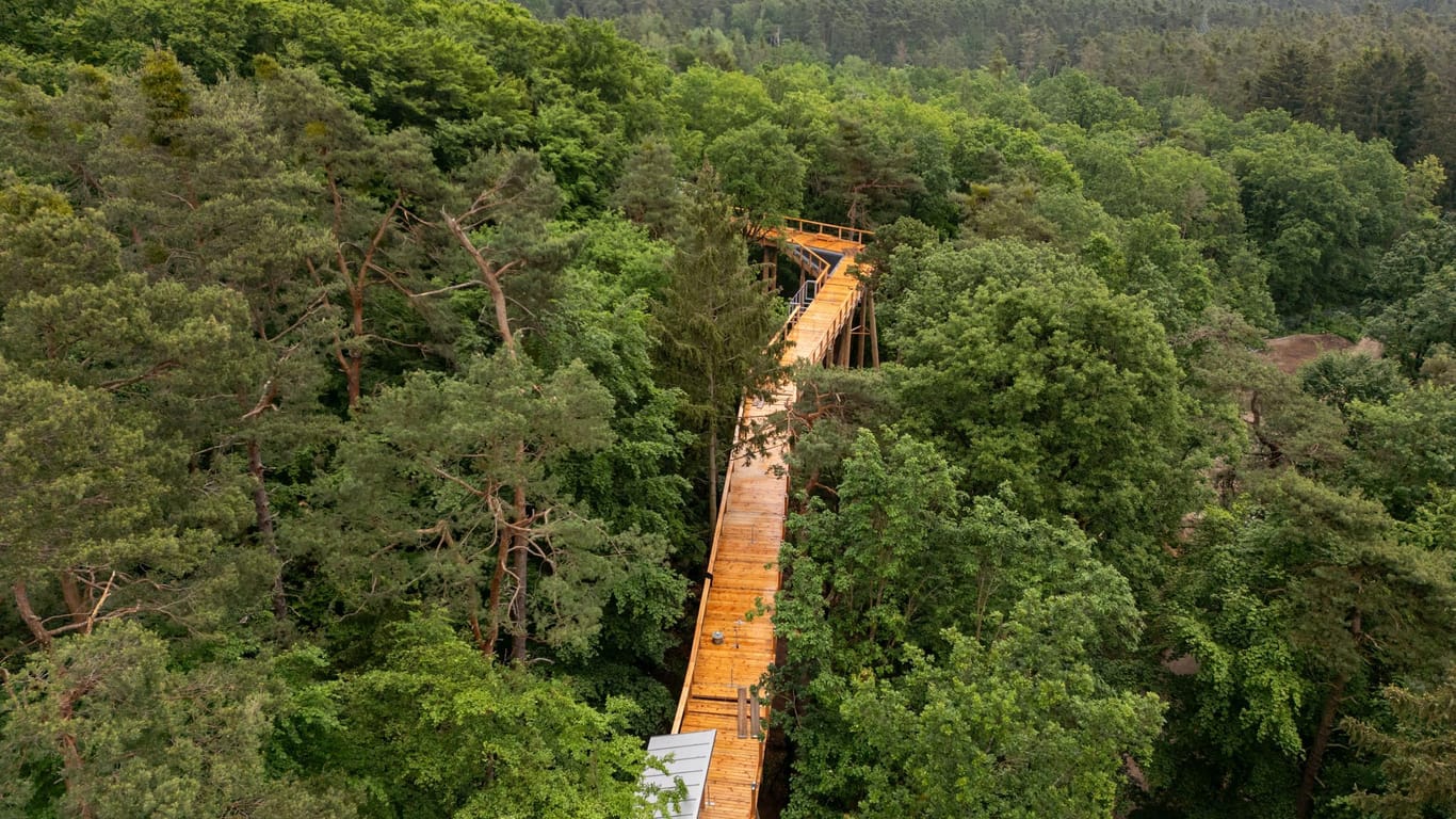 Baumwipfelpfad im Tiergarten Nürnberg