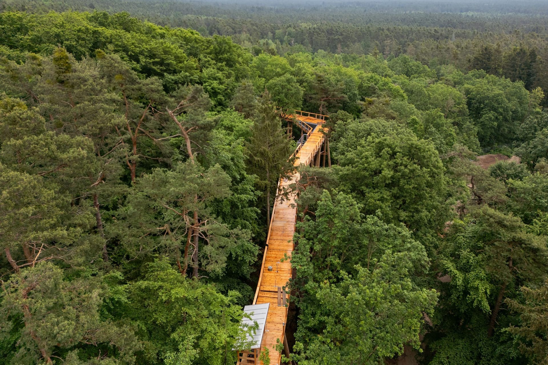 Baumwipfelpfad im Tiergarten Nürnberg