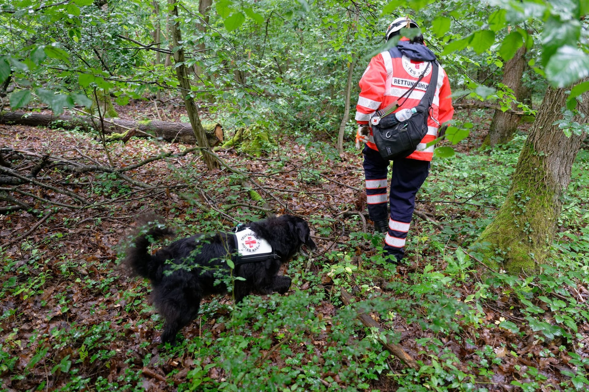 Polizei sucht mit Großaufgebot nach vermisstem Mädchen