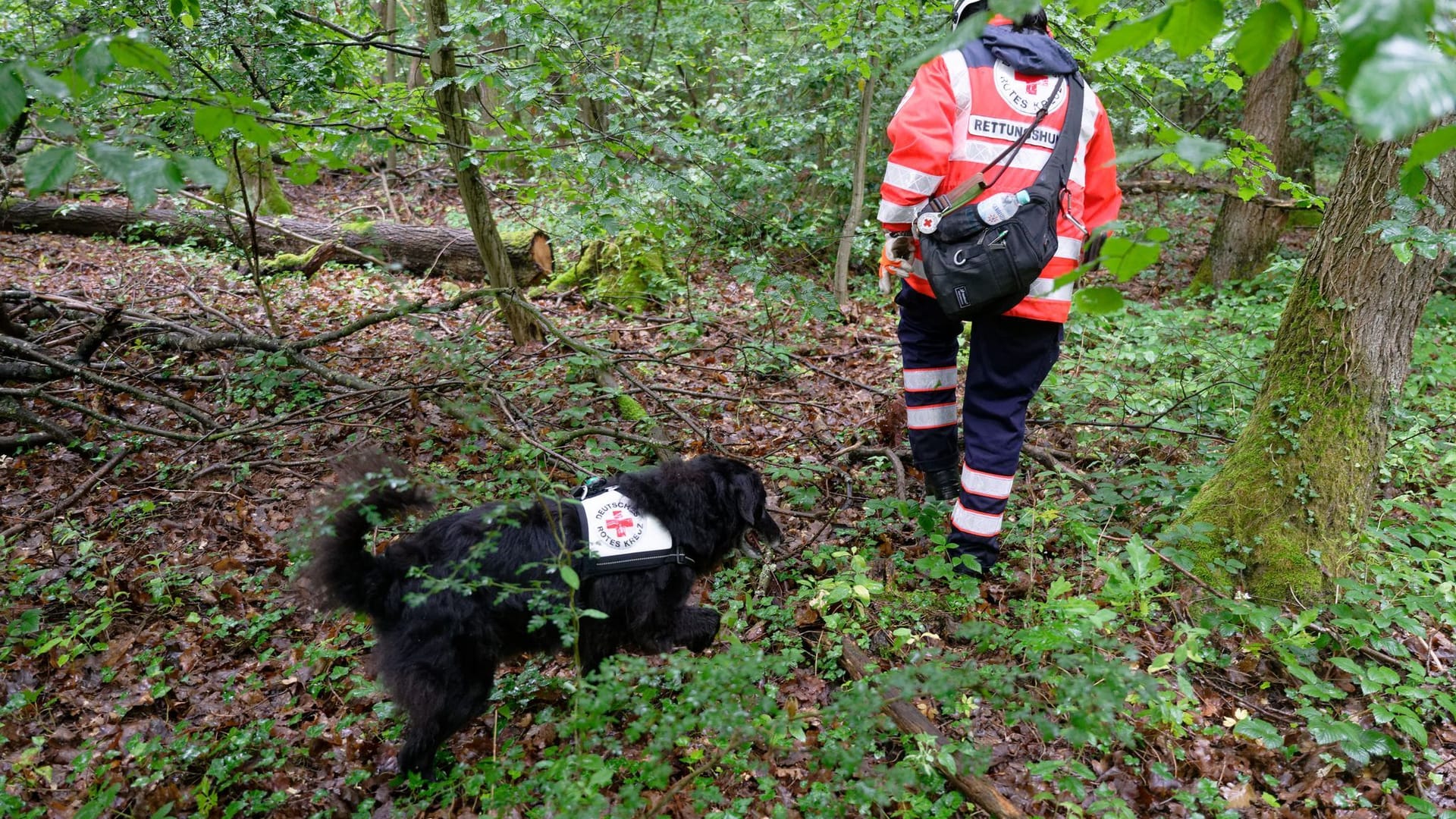 Polizei sucht mit Großaufgebot nach vermisstem Mädchen