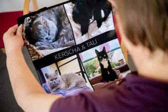 Eine Teilnehmerin hält während einer Sitzung der Trauergruppe für Tierhalter ein Andenken an ihre verstorbenen Katzen in den Händen. Die Gruppe existiert nun seit April 2024.