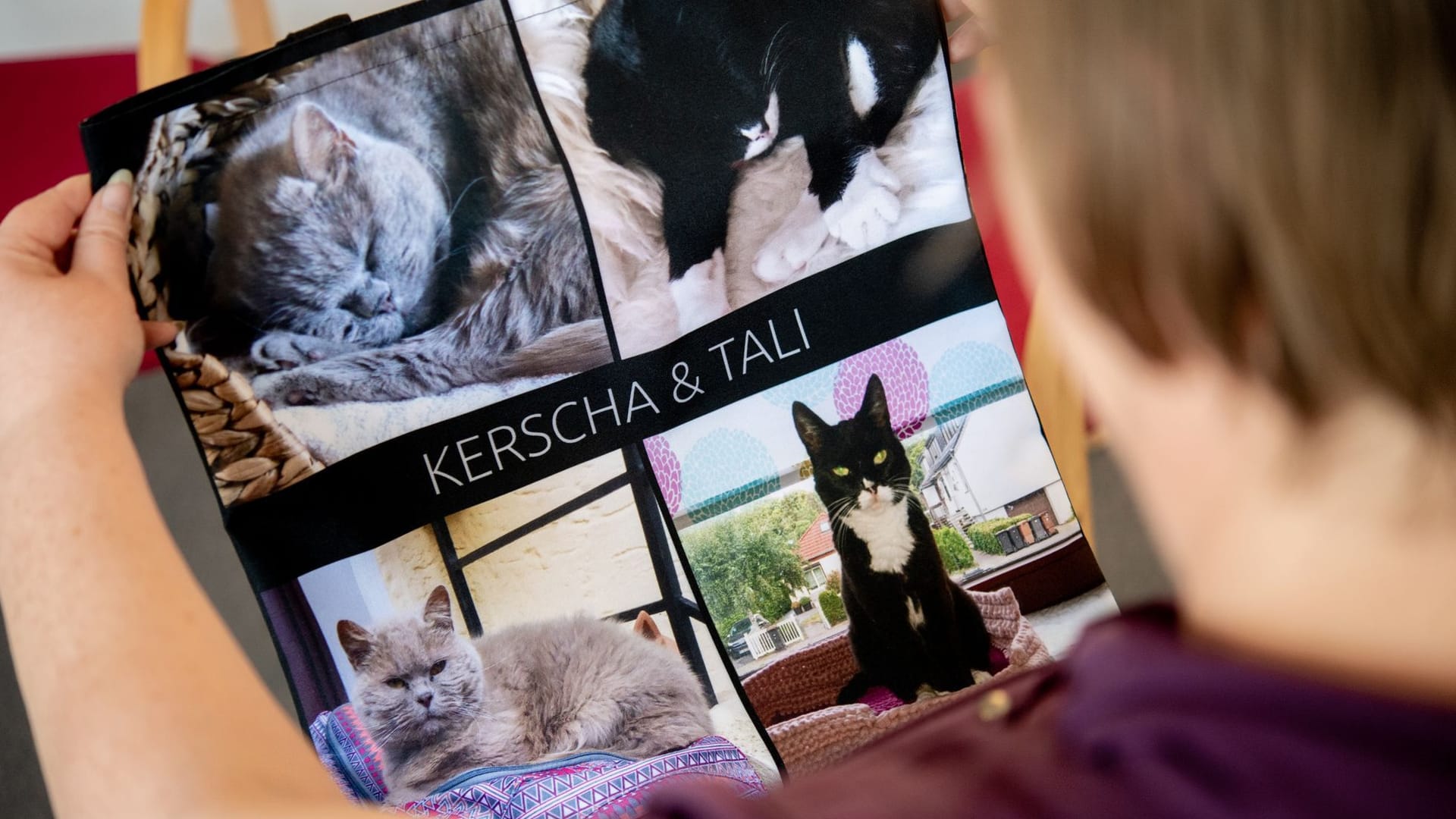 Eine Teilnehmerin hält während einer Sitzung der Trauergruppe für Tierhalter ein Andenken an ihre verstorbenen Katzen in den Händen. Die Gruppe existiert nun seit April 2024.