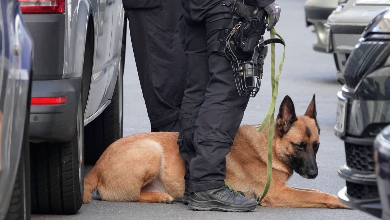 Polizeihund (Symbolbild): Der Belgier ist bereits wieder aufgetaucht.
