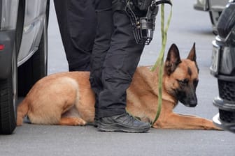 Polizeihund (Symbolbild): Der Belgier ist bereits wieder aufgetaucht.