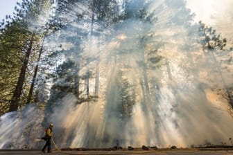 Waldbrände in den USA - Kalifornien