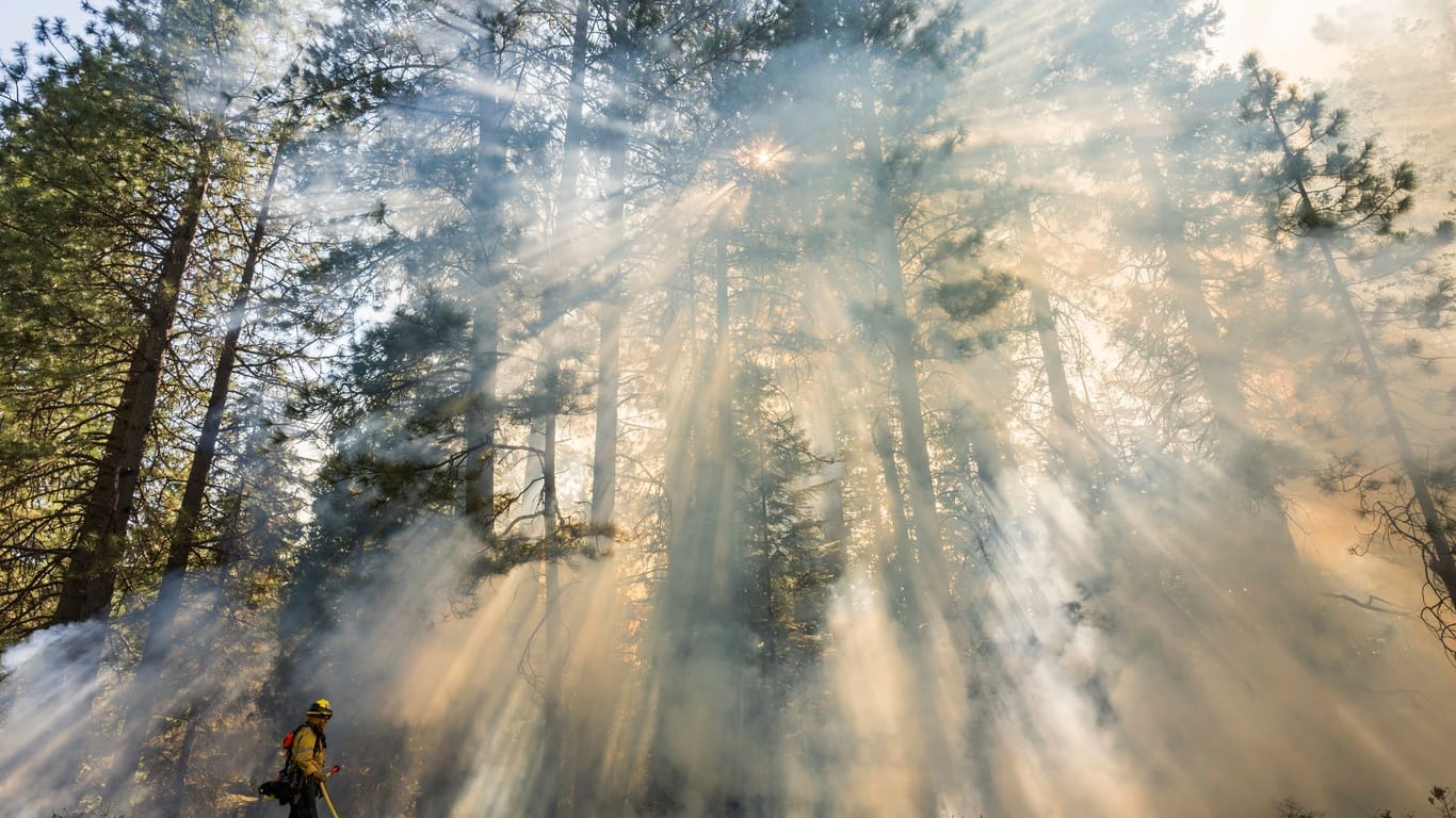 Waldbrände in den USA - Kalifornien