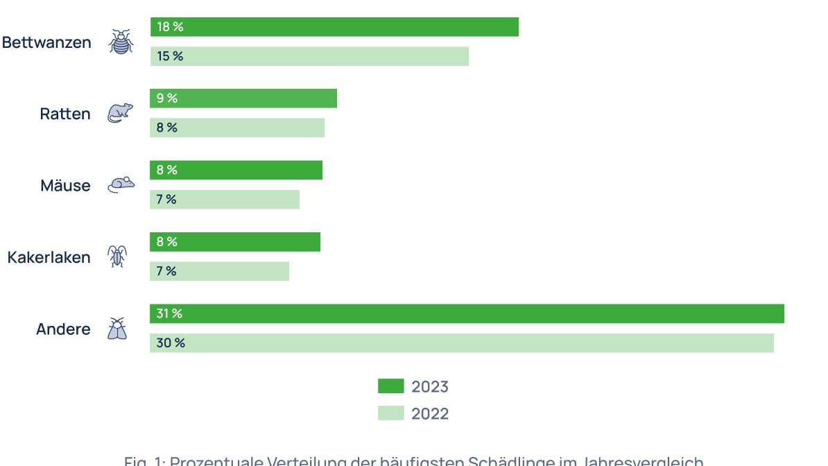 Schädlingsbekämpfung: In vielen Fällen wurden 2023 mehr Fachbetriebe mit der Bekämpfung von Schädlingen beauftragt – nur bei den Wespen ging die Auftragslage etwas zurück.