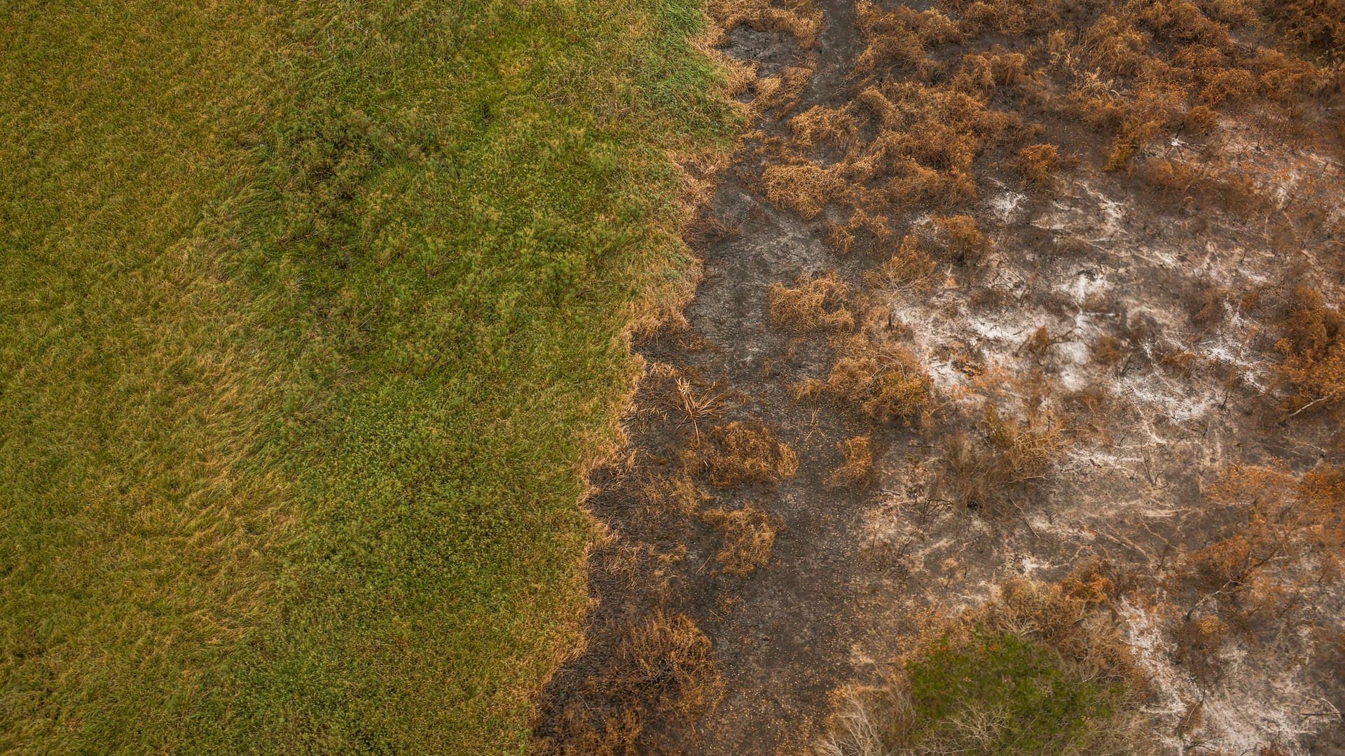 Rekordwaldbrände in Brasiliens Feuchtgebiet Pantanal