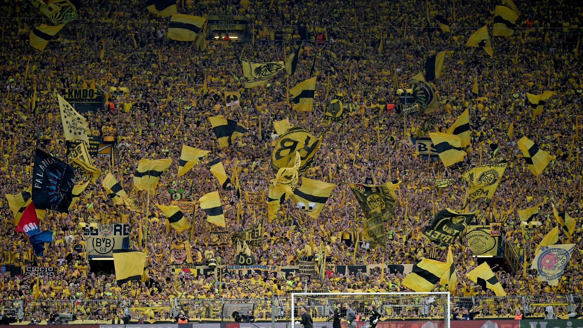 Dortmund-Fans