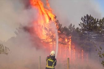 Brände in Kroatien: Hunderte Feuerwehrleute im Einsatz.