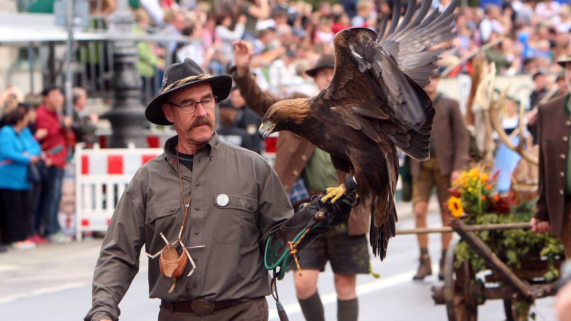 Ein Falkner mit einem Adler (Archivbild): Beim Trachten- und Schützenumzug kommen neben Pferden auch Hunde und Greifvögel zum Einsatz.