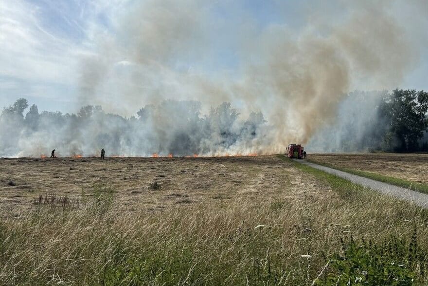 Stoppelfeld in Berlin in Brand: Die Einsatzkräfte konnten die Flammen löschen.