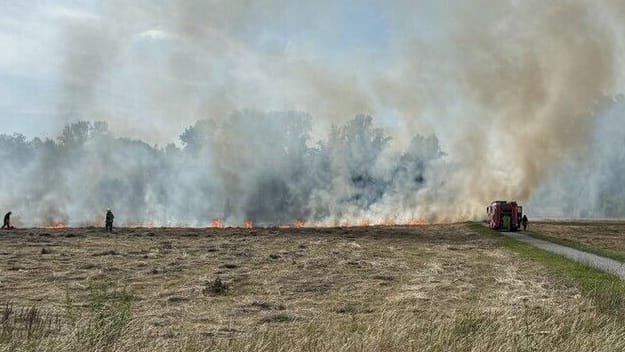 Stoppelfeld in Berlin in Brand: Die Einsatzkräfte konnten die Flammen löschen.